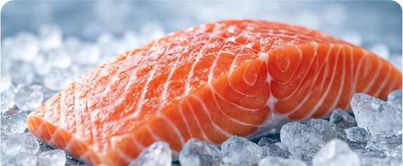 Tranche de saumon norvégien cru posée sur des glaçons